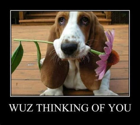 sweet thinking of you memes|funny memes about you.